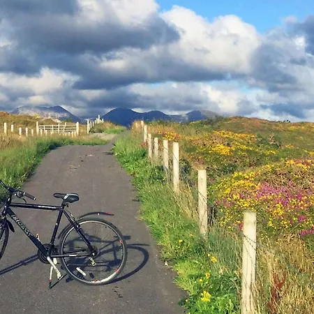 Dom wakacyjny 466 - *